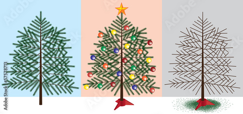 Christmas tree stages