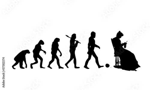Evolution Knitting