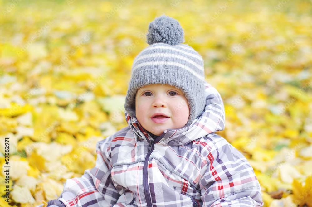 portrait of lovely baby outdoors in autumn portrait of lovely baby outdoors in autumn