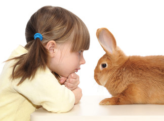 little girl and brown rabbit