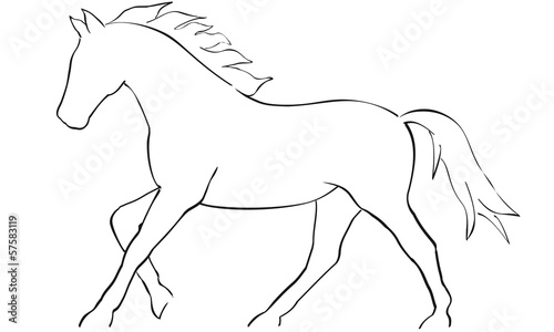 pferd