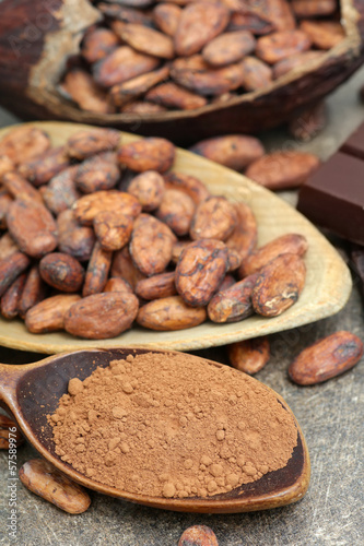 Kakaopulver mit Kakaobohnen