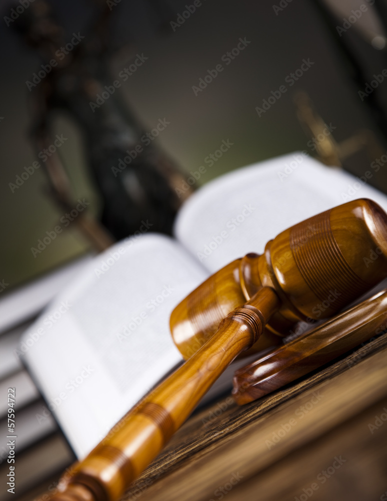 Legal gavel on a law book 