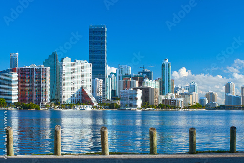 City of Miami Florida  colorful night panorama