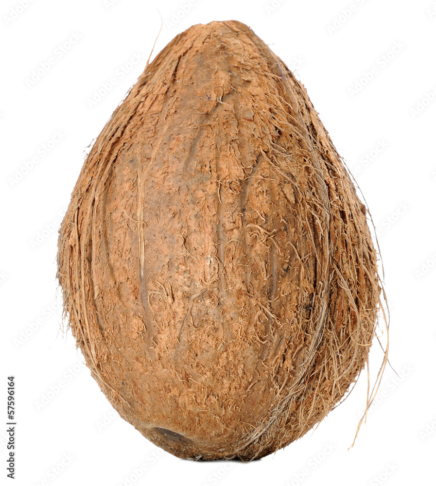 Coconut Isolated on White Background Coconut Isolated on White Background