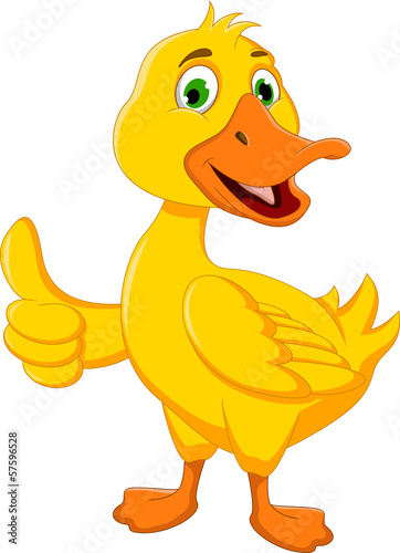 funny duck cartoon thumb up for you design