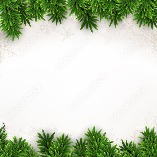 Fir christmas background. photo