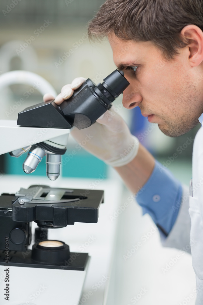 Scientific researcher using microscope in the laboratory Scientific researcher using microscope in the laboratory