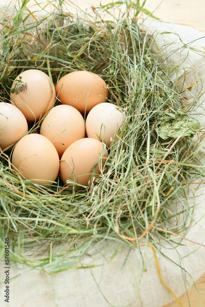 fresh organic eggs fresh organic eggs