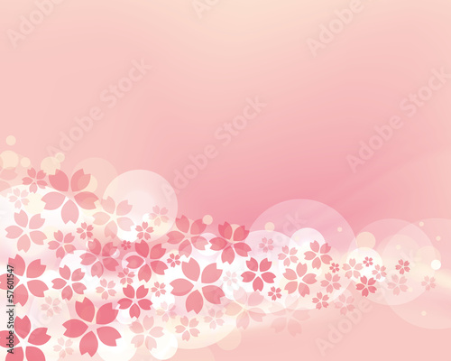 cherry blossom flowers background & 桜満開 シルク