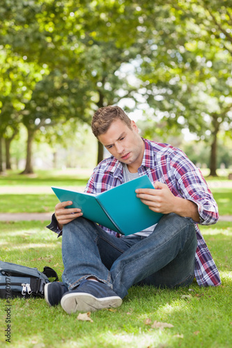 Handsome focused student sitting on grass studying