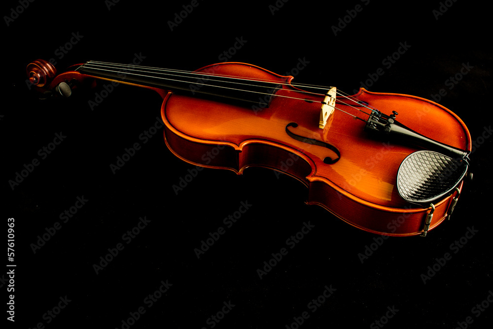 Fototapeta premium Il violino