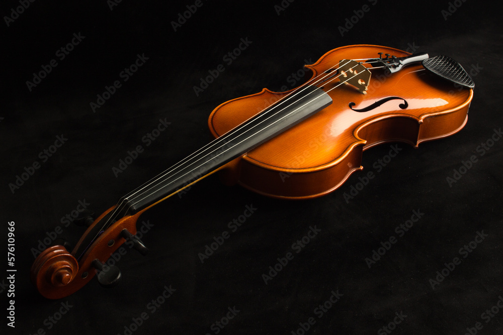 Fototapeta premium Violino