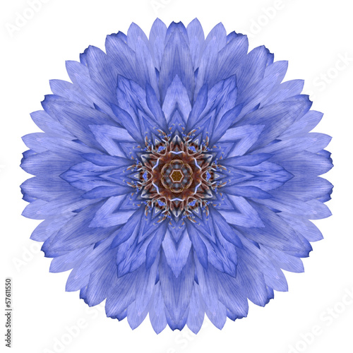 Blue Chrysanthemum Mandala Flower Kaleidoscope Isolated on White