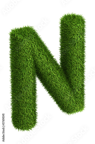 Natural grass letter N