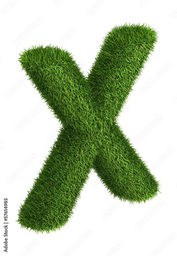 Natural grass letter X Natural grass letter X