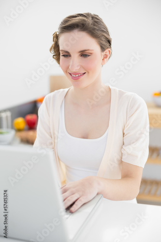 Smiling brunette woman using her notebook sitting in kitchen