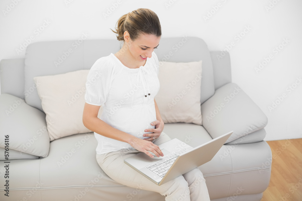 Peaceful young pregnant woman working with her laptop sitting on Peaceful young pregnant woman working with her laptop sitting on