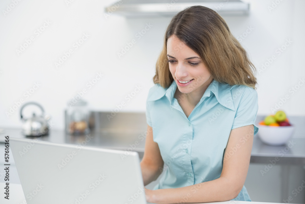 Gorgeous lovely woman using her notebook standing in her kitchen Gorgeous lovely woman using her notebook standing in her kitchen