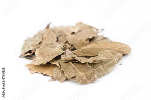 Bay leaf isolated