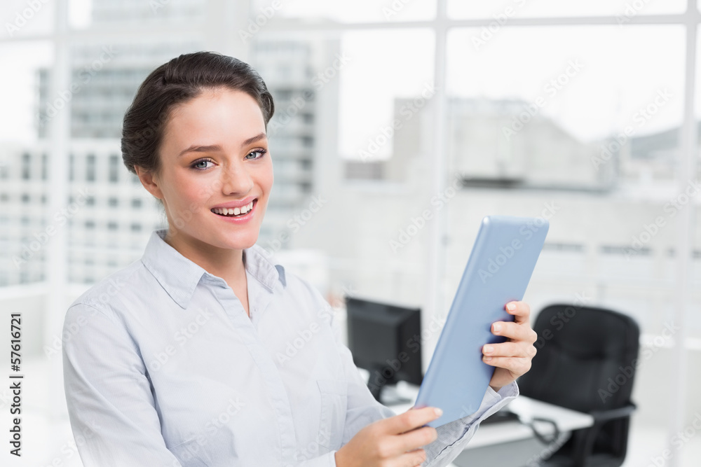 Smiling young businesswoman using table PC in office Smiling young businesswoman using table PC in office