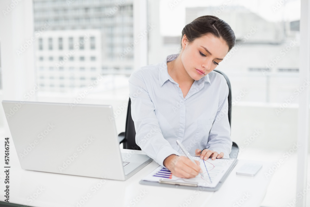 Businesswoman with graphs and laptop in office Businesswoman with graphs and laptop in office