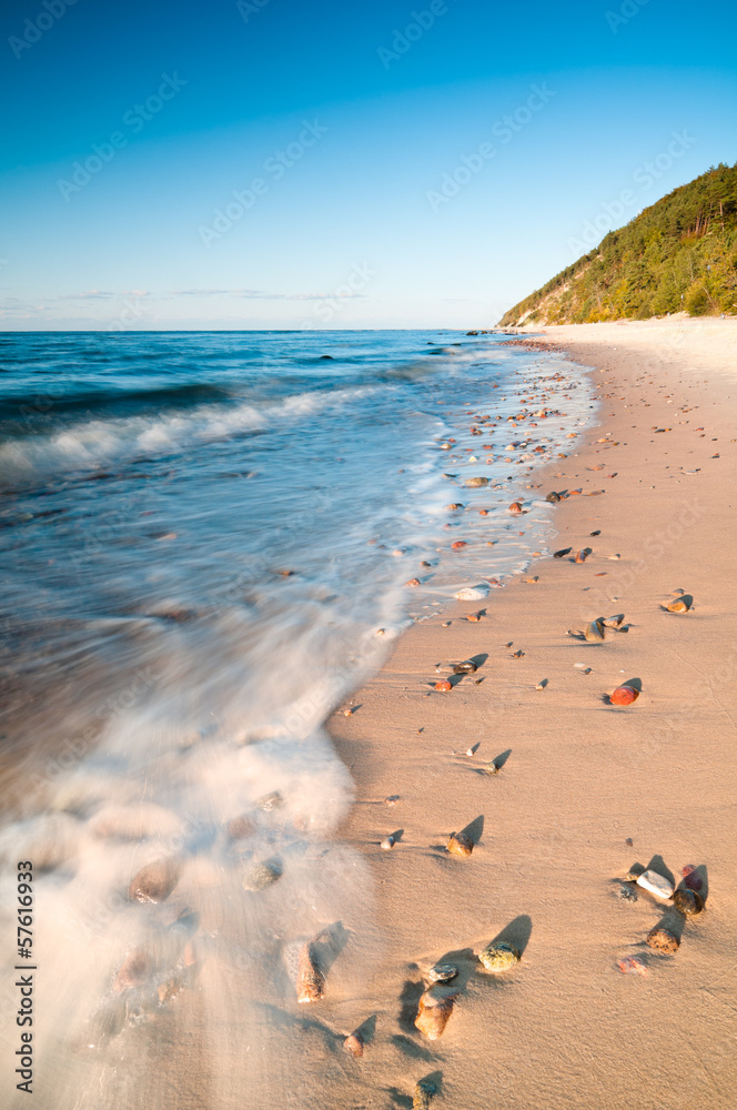 Obraz premium Sea Shore