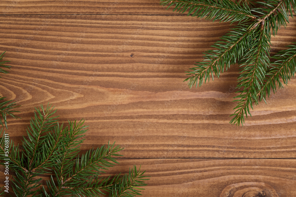 green spruce twig on wooden plank green spruce twig on wooden plank