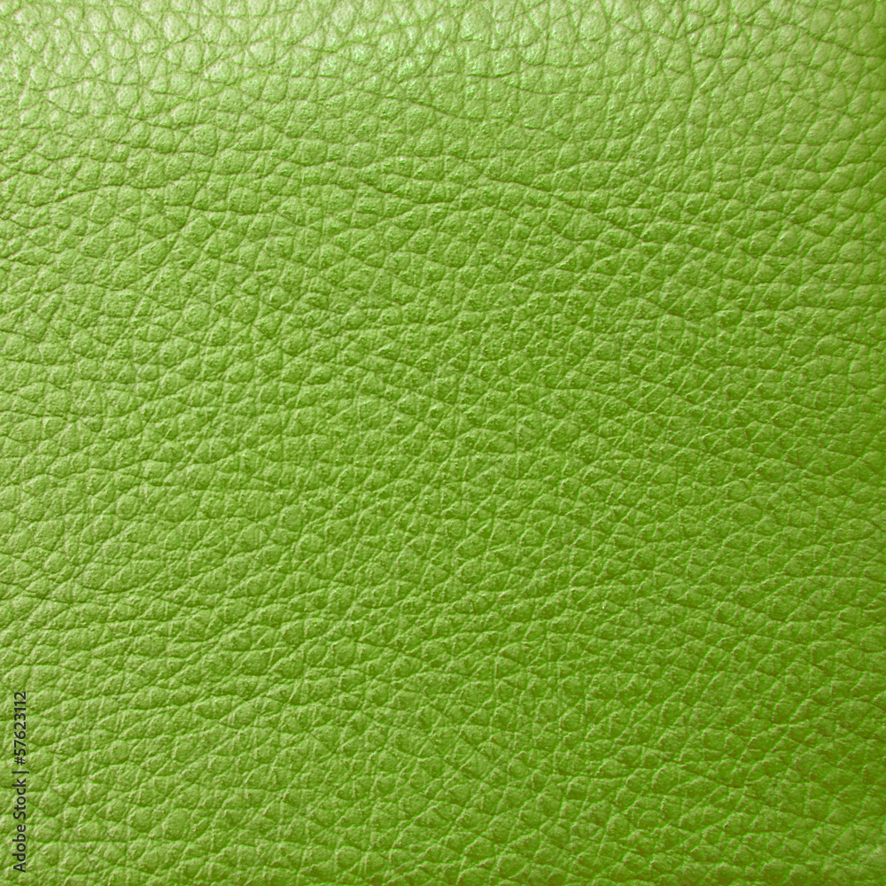 Fototapeta premium leather