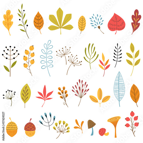 Autumn floral design elements