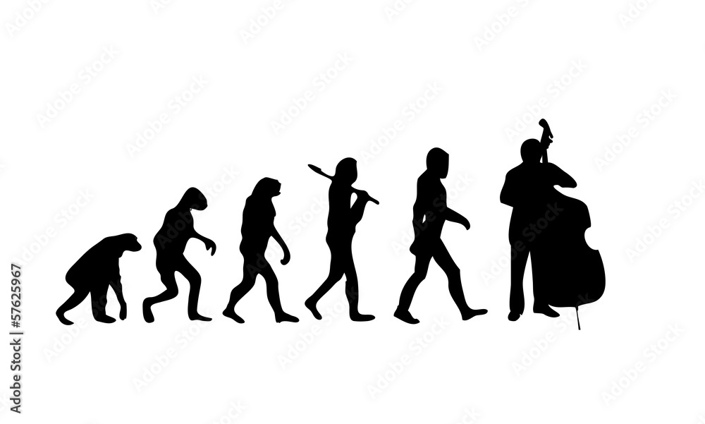 Evolution Contrabass
