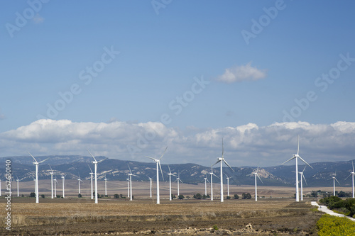 wind turbines © Dan Talson