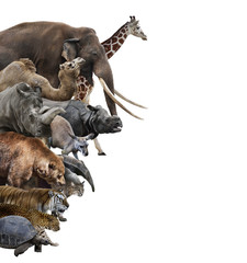 Wild Animals Collage