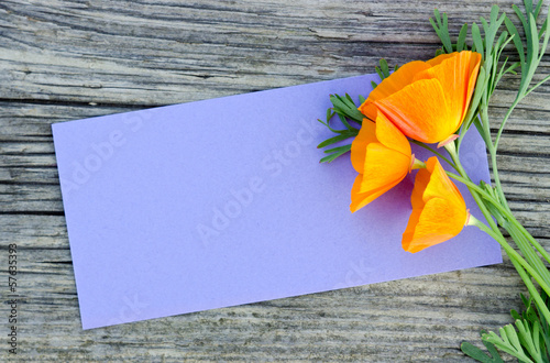 Fototapeta Naklejka Na Ścianę i Meble -  poppy