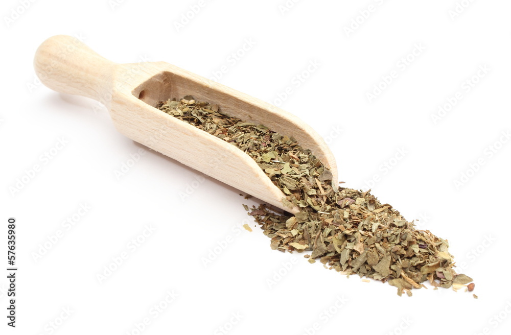 Heap of Fresh basil on wooden spoon. White background Heap of Fresh basil on wooden spoon. White background