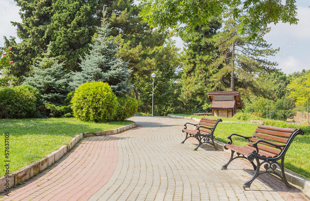 park, path, bench