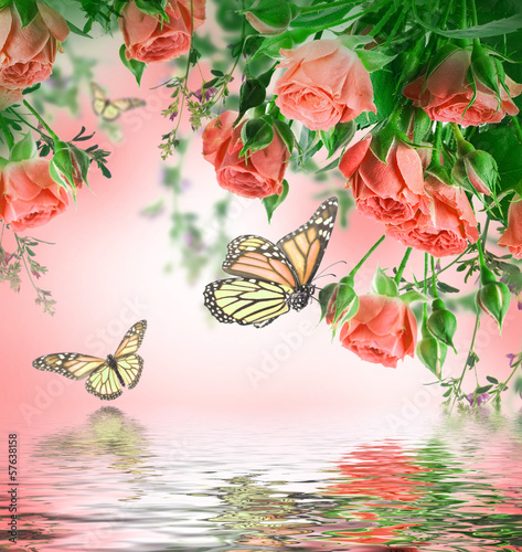 Bouquet of delicate roses and butterfly, floral background © seqoya