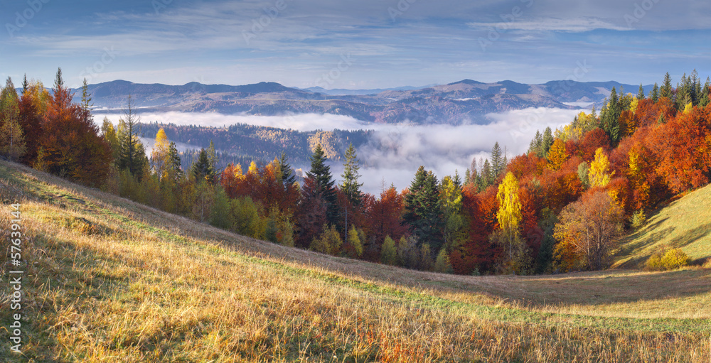 Fototapeta premium Colorful autumn morning in the mountains.