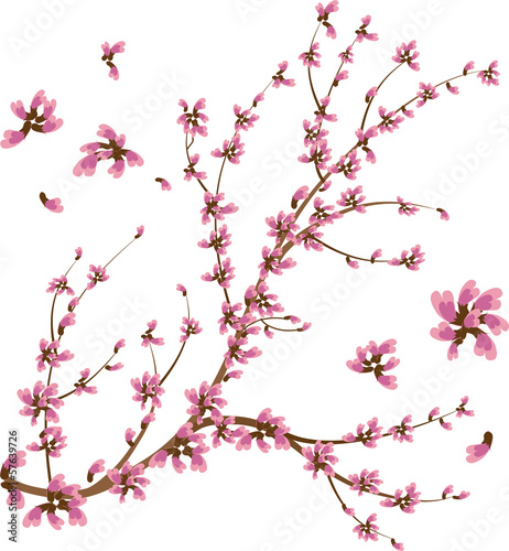 Japanese branch