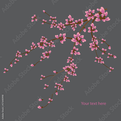 Japanese branch