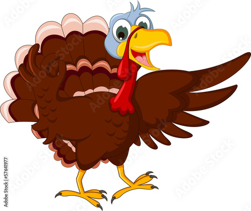 Funny Turkey Cartoon Posing