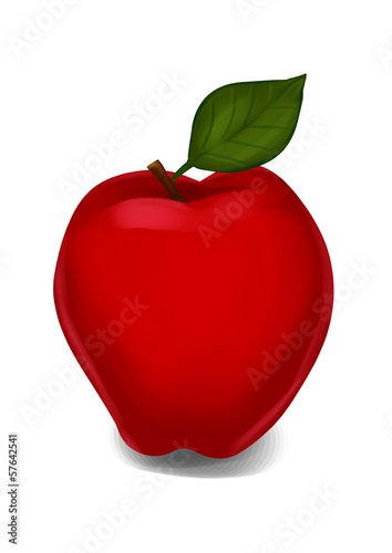Red apple illustration