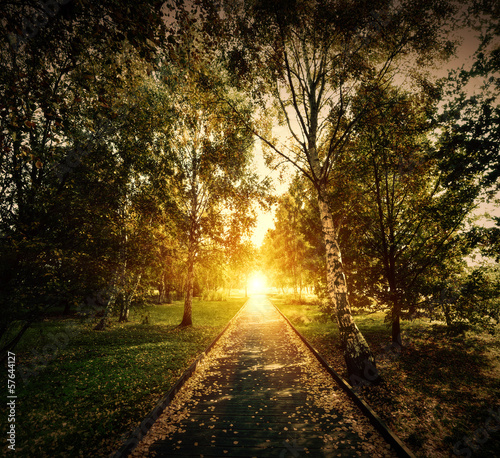 Autumn, fall park. Wooden path towards the sun