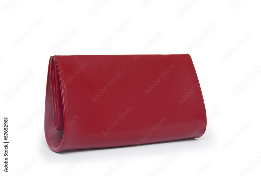 Elegant woman bag on white Elegant woman bag on white