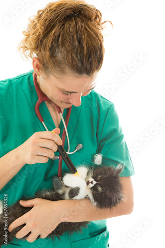 Veterinary with kitten