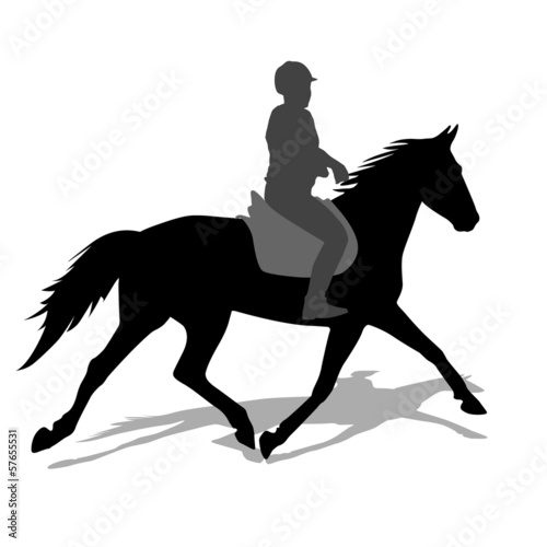 vector silhouette of horse and jockey © Arrows