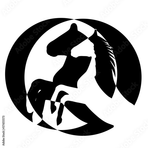 rearing up horse  vector silhouette