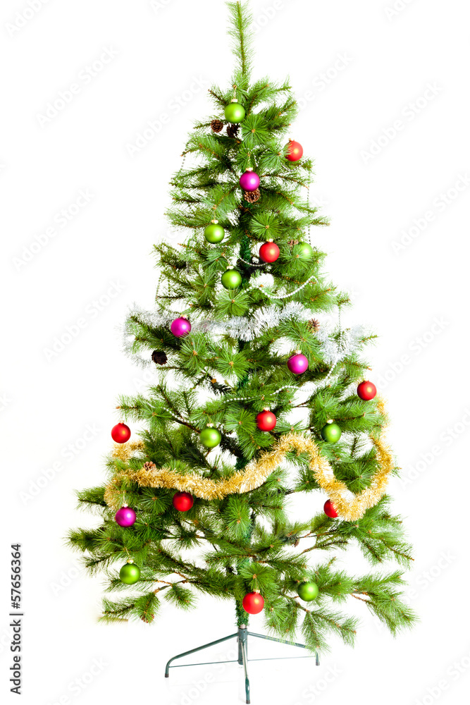 Fototapeta premium christmas tree isolated on white