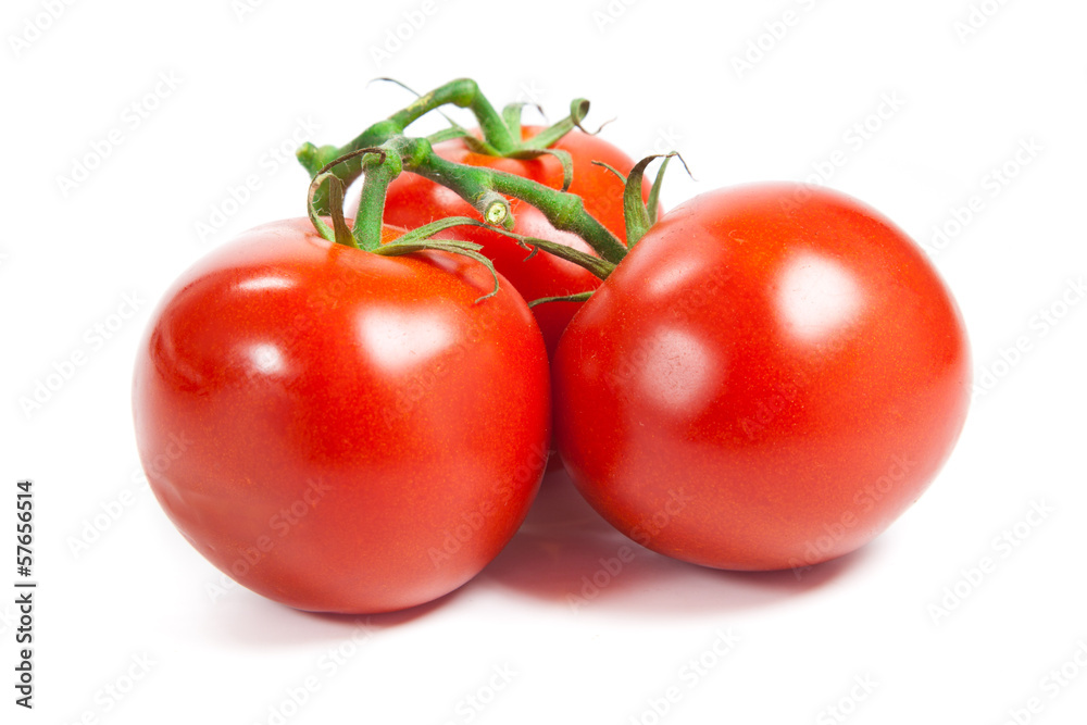 Closeup of tomatoes on the vine isolated on white. Tomato branch Closeup of tomatoes on the vine isolated on white. Tomato branch