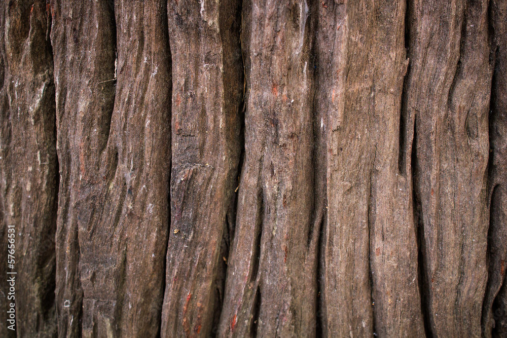 Obraz premium Wood vintage